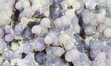 Purple, Botryoidal Grape Agate - Indonesia #55024-1